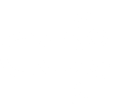 Sattya Logo